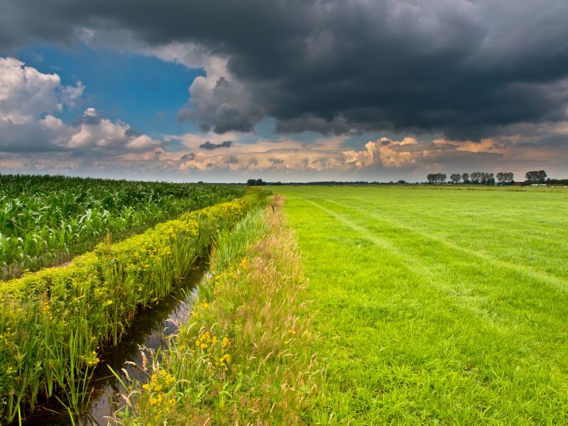 Landscape Drainage Solutions & Promotions